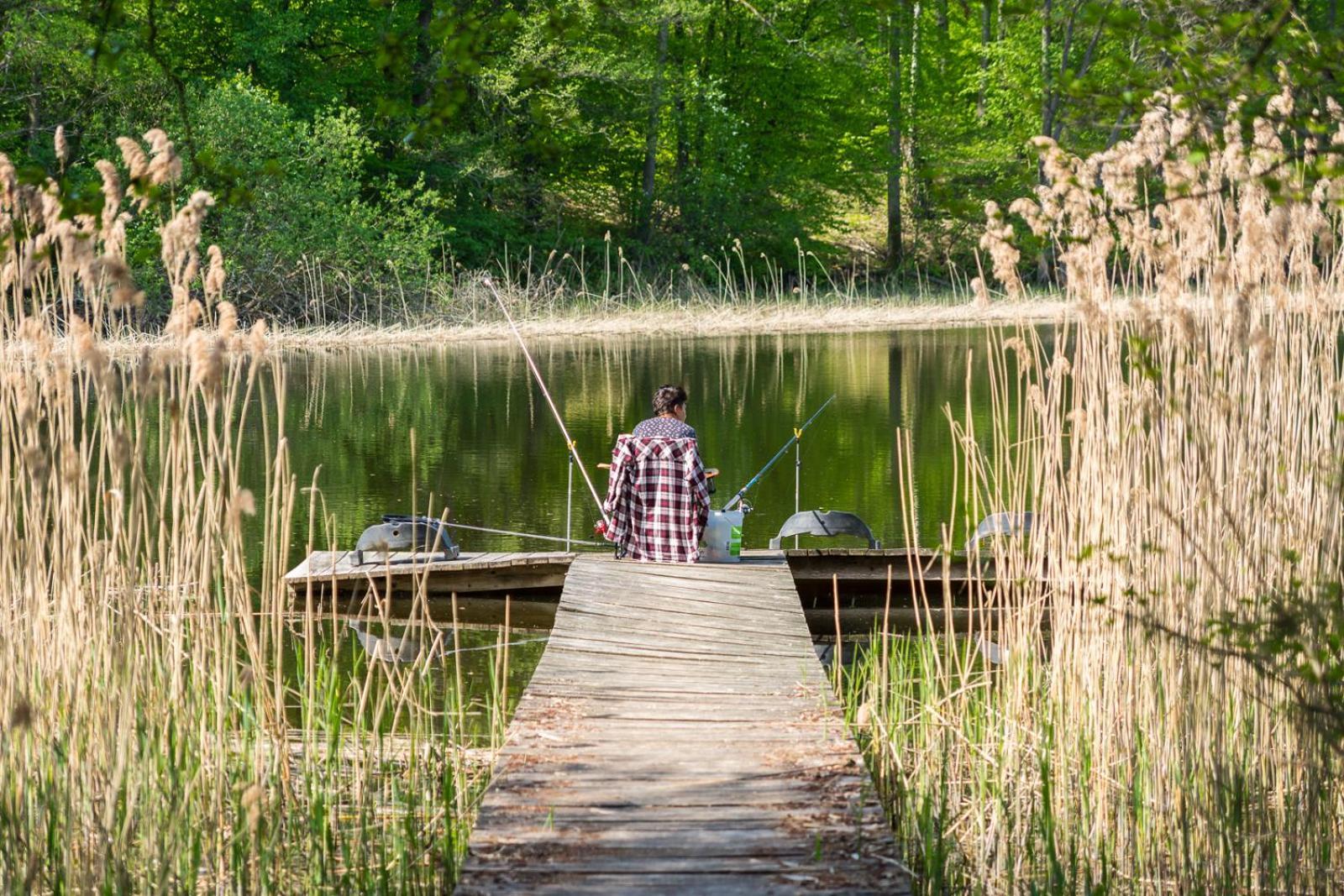 Osrodek Wypoczynkowy Camping Tumiany Екстер'єр фото